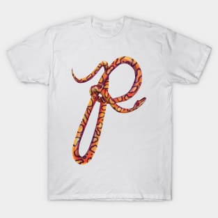 P - Brazilian rainbow boa T-Shirt